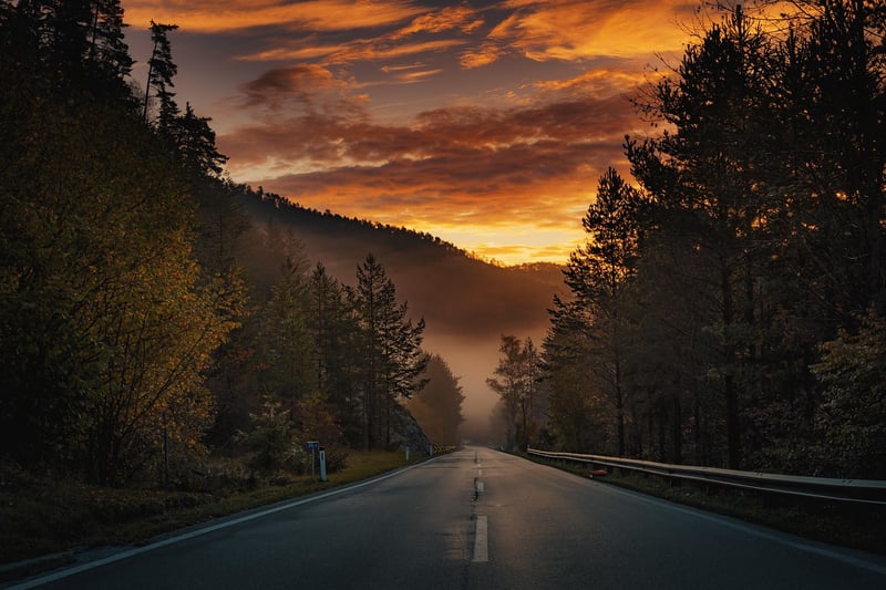 Road in autumn fog